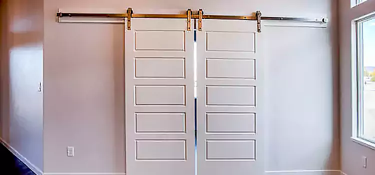 Glass Barn Door with Installation Hardware Kit Gaithersburg